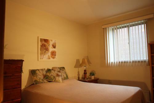 Petryla Estates Furnished Toronto Apartments