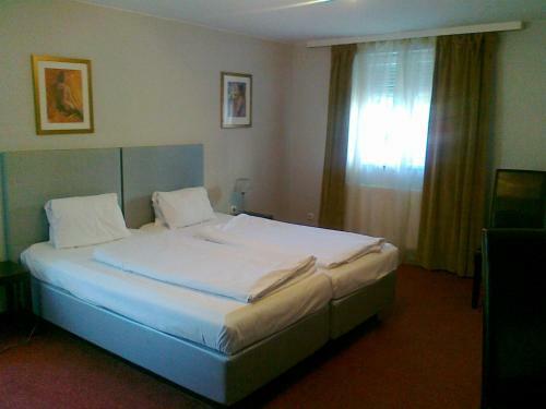 Hotel G�stehaus Auerhahn