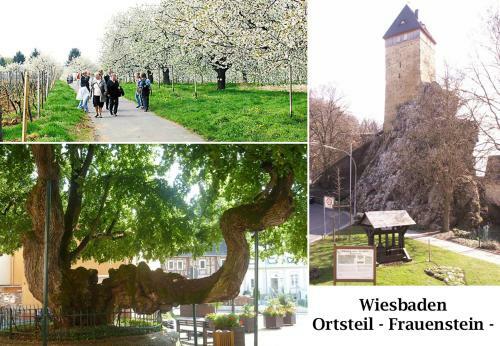 Apartamento Ferienwohnung Burgblick