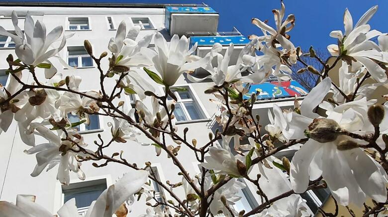 Hotel Bornholmer Hof Im Prenzlauer Berg