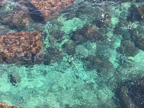 Sicilymonamour Ortigia