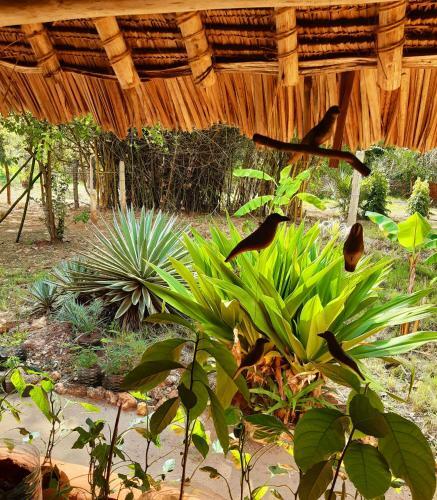 Diani Bushliner Villa