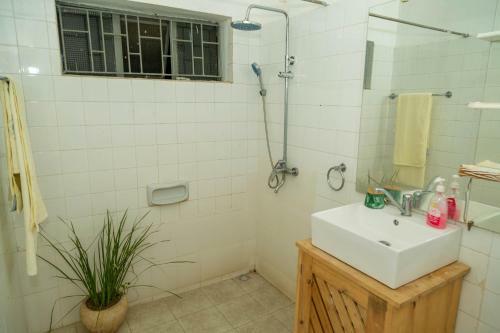 Bed & Breakfast Blue Elephant House