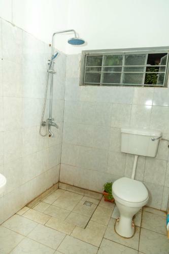 Bed & Breakfast Blue Elephant House