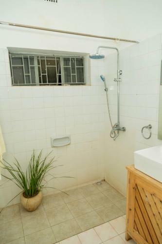 Bed & Breakfast Blue Elephant House
