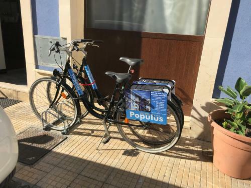 Bed & Breakfast Hotel Populus