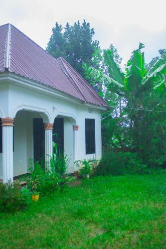 Bed & Breakfast New Dream House