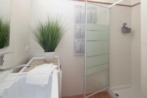 Apartamento Maestranza72 By Bed&bros