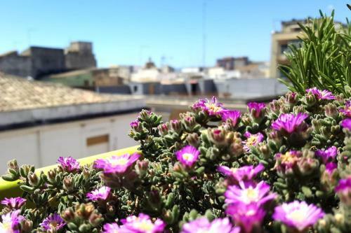 Syracuseapartments Il Mare Di Ortigia