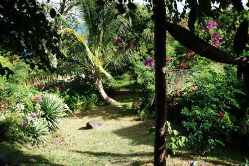 Bed & Breakfast Les Baobabs