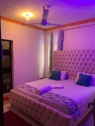 Rosy Luxurious Apartment
