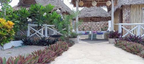 Hostal Kijiwe Villas