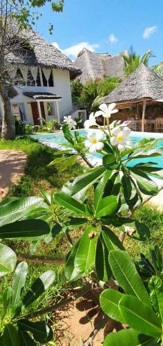 Hostal Pwani House Cottage