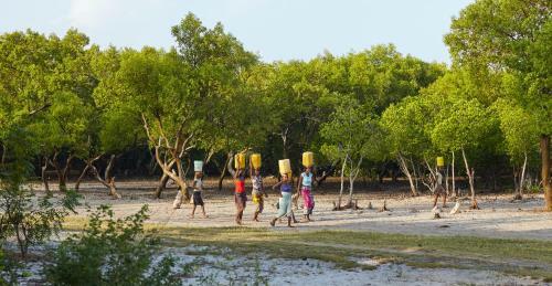 Bed & Breakfast Mangrove View