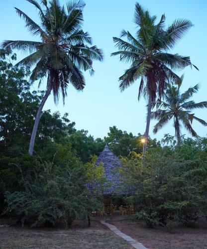 Bed & Breakfast Mangrove View