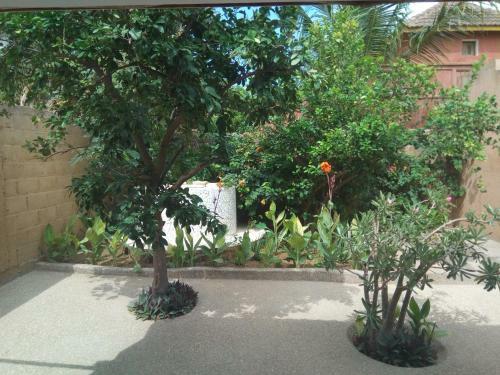 Bed & Breakfast Chez Coumba Et Daniel