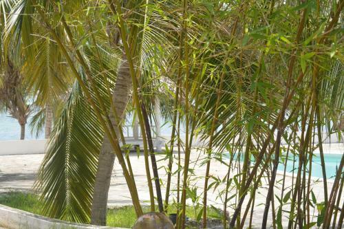 Hotel Twiga Beach & Spa