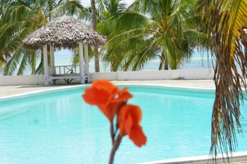 Hotel Twiga Beach & Spa