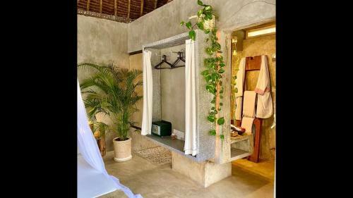 Hostal Room In Bb - Rock And Sea Resort,baobab Suite