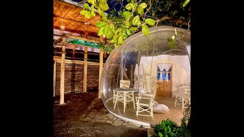 Hostal Room In Bb - Rock And Sea Resort,baobab Suite
