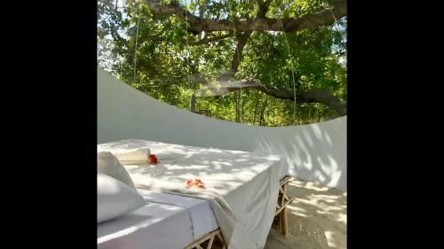 Hostal Room In Bb - Rock And Sea Resort,baobab Suite