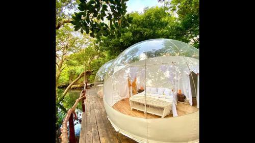 Hostal Room In Bb - Rock And Sea Resort,baobab Suite