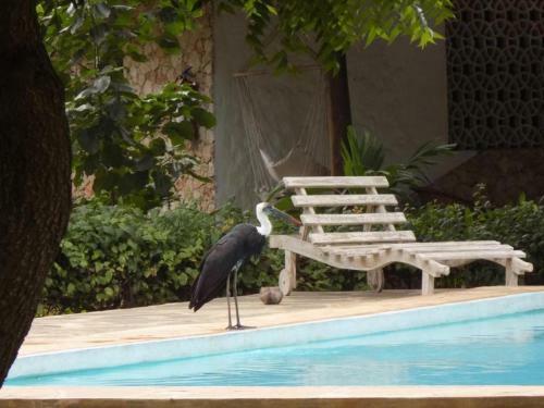 Bed & Breakfast Watamu Eco Villas