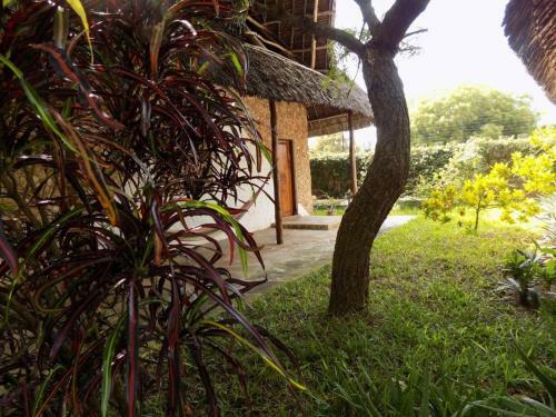 Bed & Breakfast Watamu Eco Villas