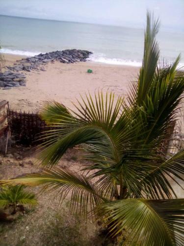 Villa Palm Beach