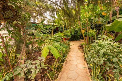 Hotel Auberge Africa Thiossane