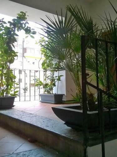 Surreo Luxury Bed & Breakfast
