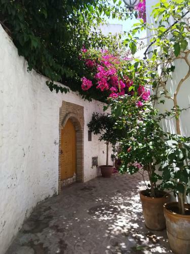 Dar Bleu Ocean Ancienne Medina
