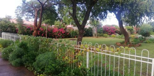 Bed & Breakfast Savanna
