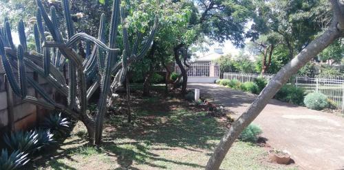 Bed & Breakfast Savanna
