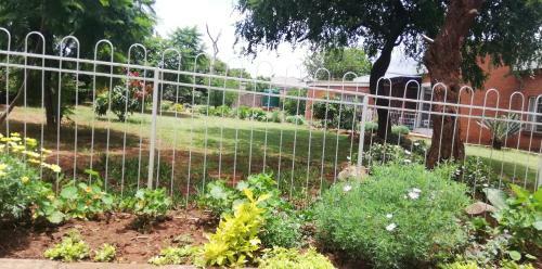 Bed & Breakfast Savanna