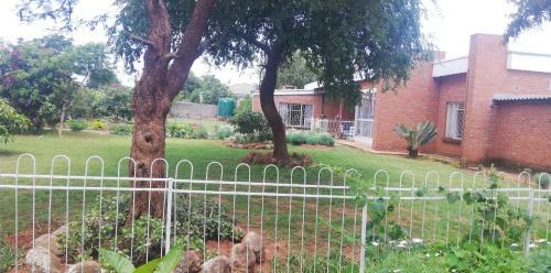 Bed & Breakfast Savanna