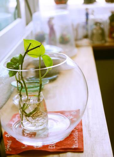 Hostal Geranium Ladies Guesthouse