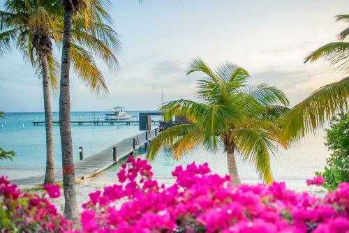 Hotel Aruba Surfside Marina