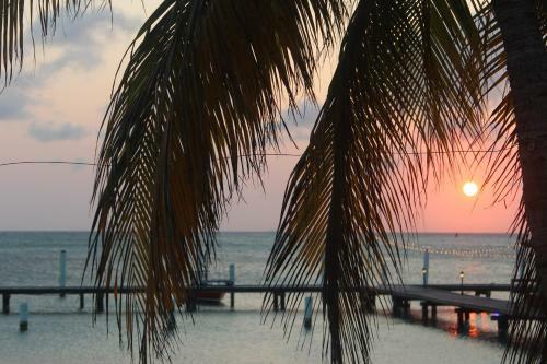 Hotel Aruba Surfside Marina
