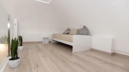 Bed & Breakfast Maison Luisa Sorrento