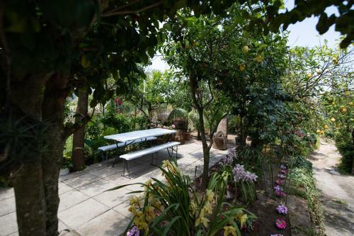 Apartamento San Valerio Home