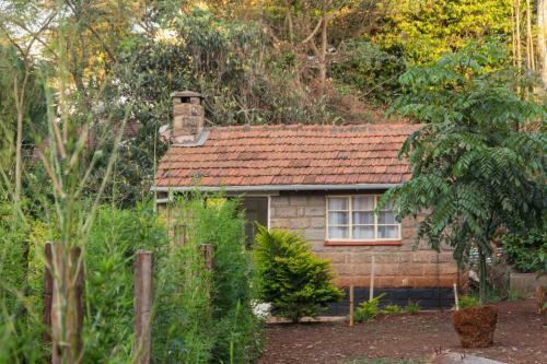 Hostal Celio Jardine Lavington
