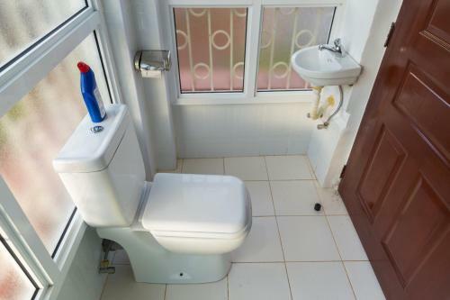 Hostal Celio Jardine Lavington
