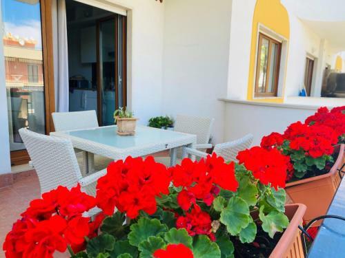 Viva Apartment Sorrento