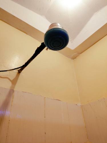 Bee's Studio Apartment