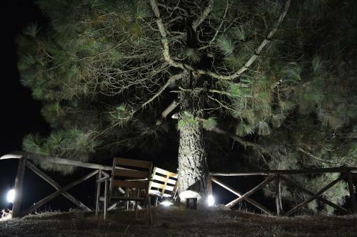 Amore Rentals - Casa Le Tore Blu