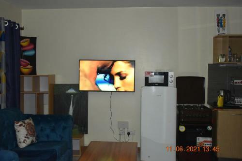 Mvuli Studio - Nick Apartments
