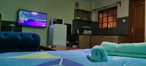 Mvuli Studio - Nick Apartments