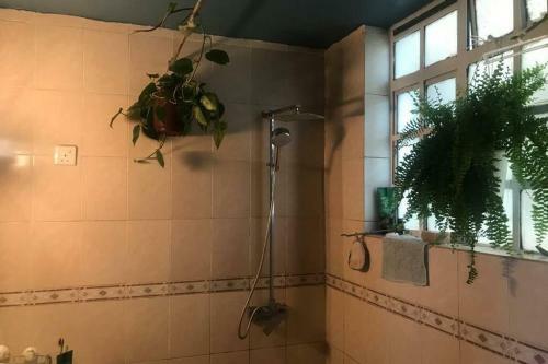 Apartamento Two Bedroom In A Secure Gated Community