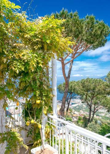 Aparthotel Residence Le Terrazze